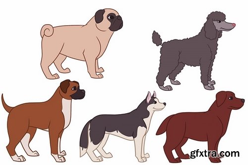 CM - 16 Dog breed illustrations 2373320