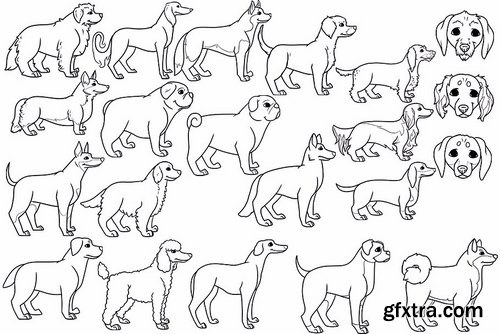 CM - 16 Dog breed illustrations 2373320