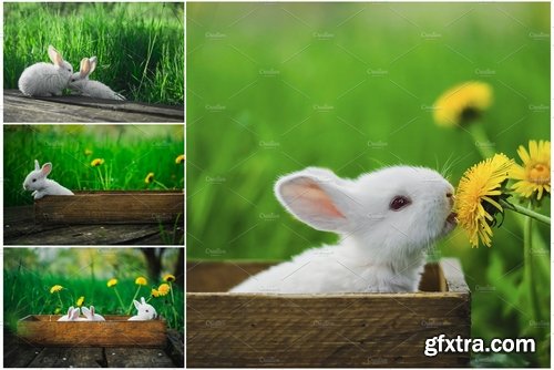 CM - Spring Styled Stock Photo Bundle 2377018