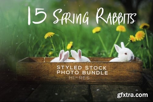 CM - Spring Styled Stock Photo Bundle 2377018