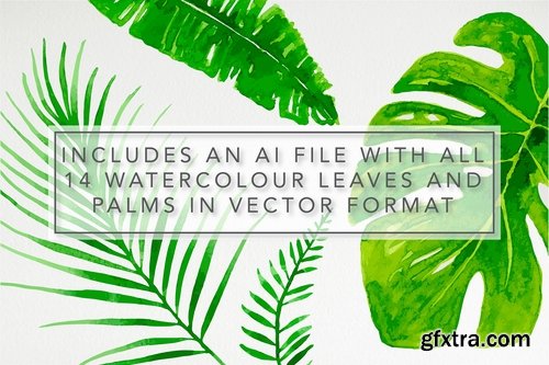 CM - Tropical Watercolor Clipart Set 2362516