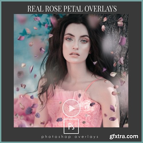 Amanda Diaz Photography - Real Rose Petal Overlays + Tutorial