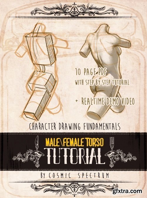 Character Fundamentals: Male and Female Torso