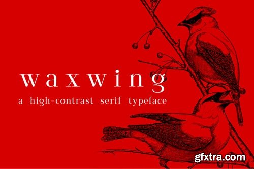 Waxwing Serif Font