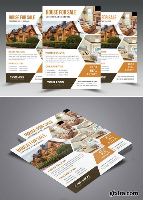 CM - Real Estate Flyer 2405335