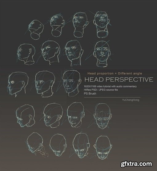 Gumroad - Head Perspective by Yu Cheng Hong