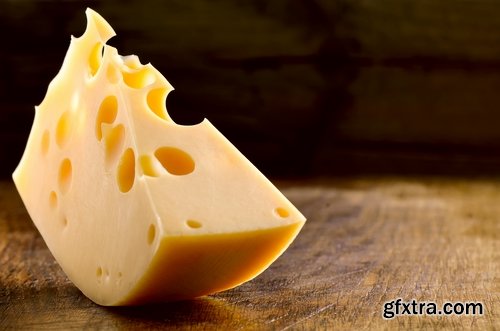 Cheese milk product 25 HQ Jpeg