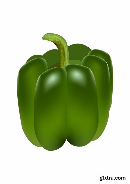 Bell pepper paprika vegetable 25 EPS