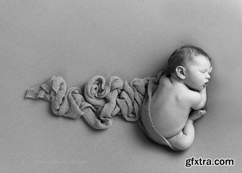 CreativeLIVE - The Creative Newborn Photography Studio