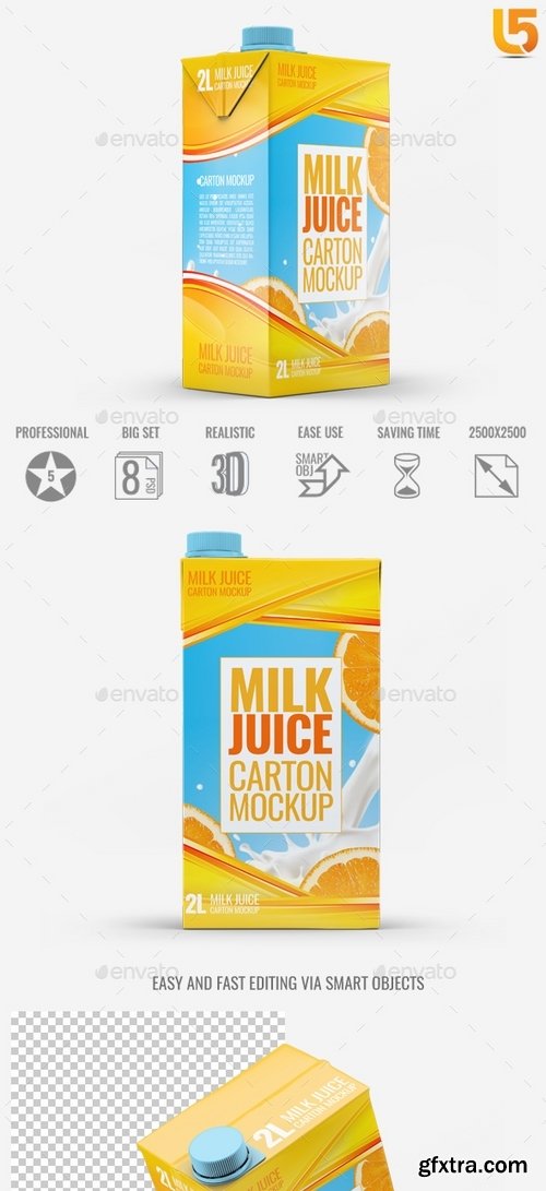 GraphicRiver - Milk or Juice Carton Mock-Up v2 21791146
