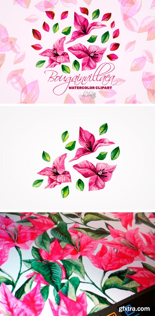 CM - Bougainvillea Floral Clipart 2423604