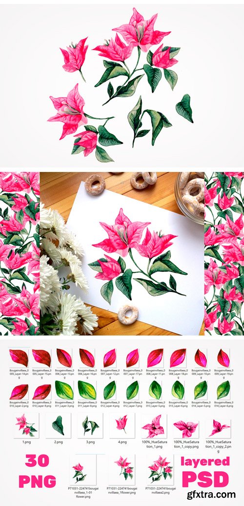 CM - Bougainvillea Floral Clipart 2423604