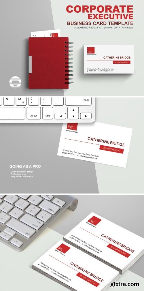 CM - Corporate Executive Business Card 1577053