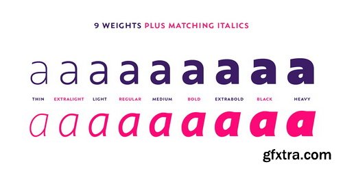 Axios Font Family