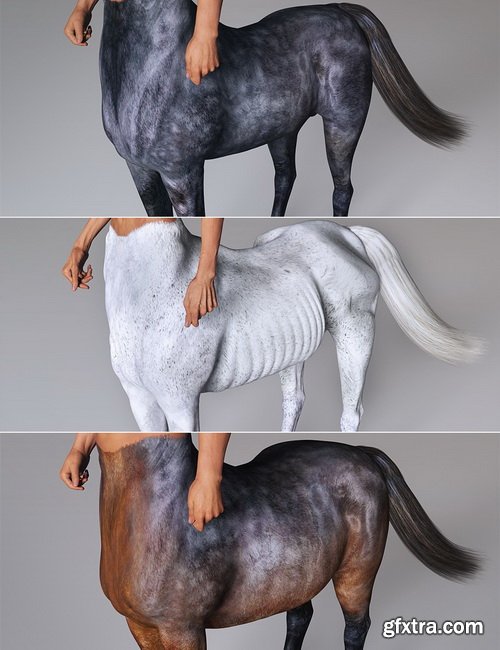 Daz3D - Centaur 7 Male Pro Bundle