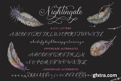 Nightingale Font