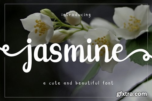 CM - jasmine 2425732