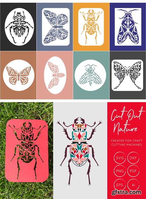 CM - Butterflies and Beetles SVG Bundle 2353224