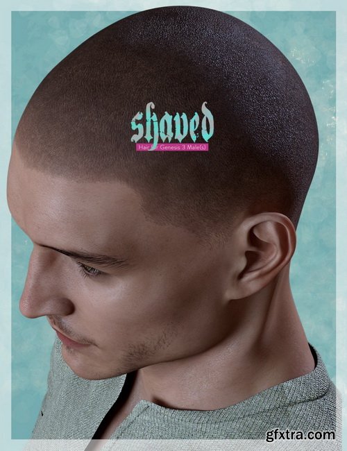 Daz3D - Shaved Hair for Genesis 3 Male(s)