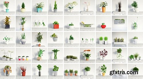 Evermotion - Archmodels vol.141 - Indoor Plants