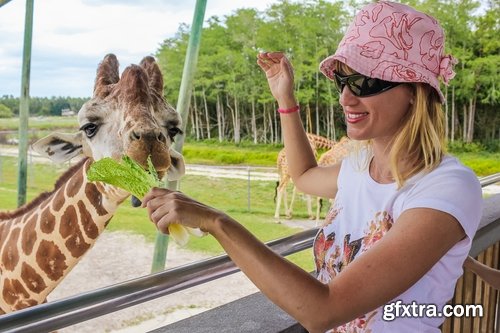 Giraffe long neck wildlife landscape 25 HQ Jpeg