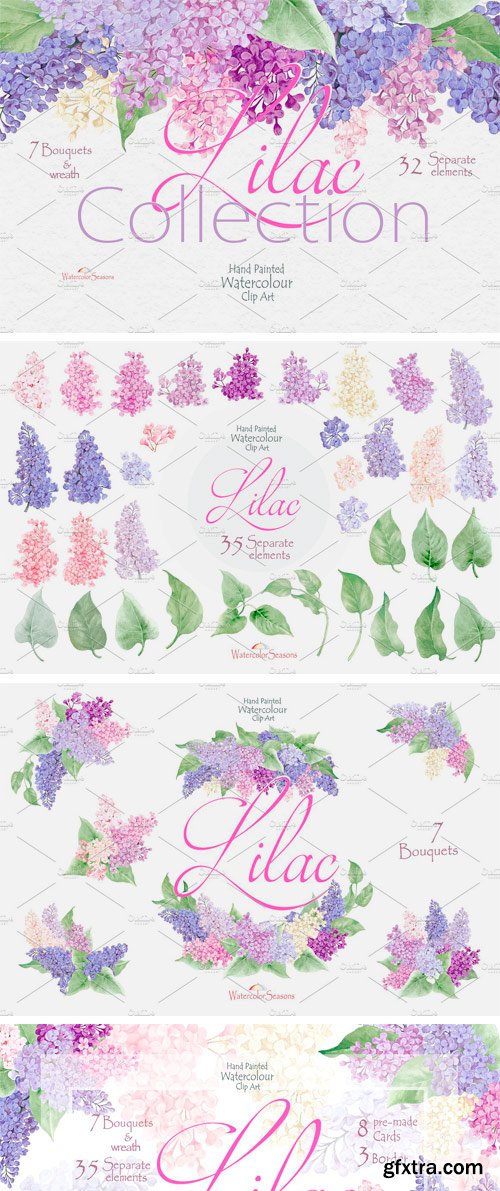 CM - Lilac Collection 2447193