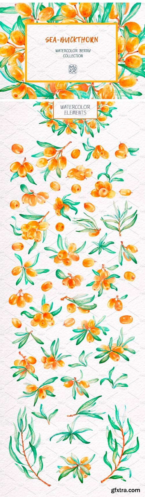 CM - Sea-Buckthorn, Watercolor Collection 2445710