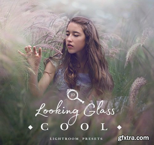 JD Looking Glass: Warm Photoshop Actions + Lightroom & ACR Presets