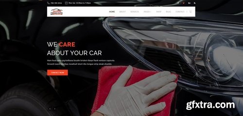 Francisco  Car Repair PSD Template