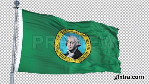 Washington Flag - Motion Graphics 73969