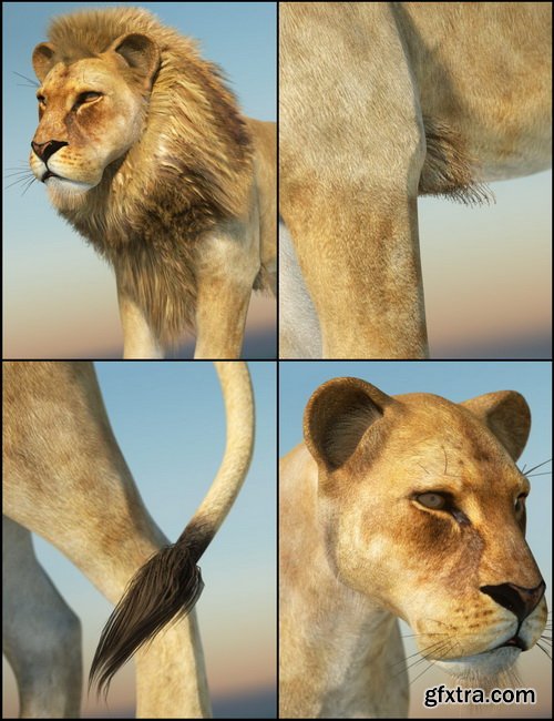 Daz3D - Daz Big Cat 2