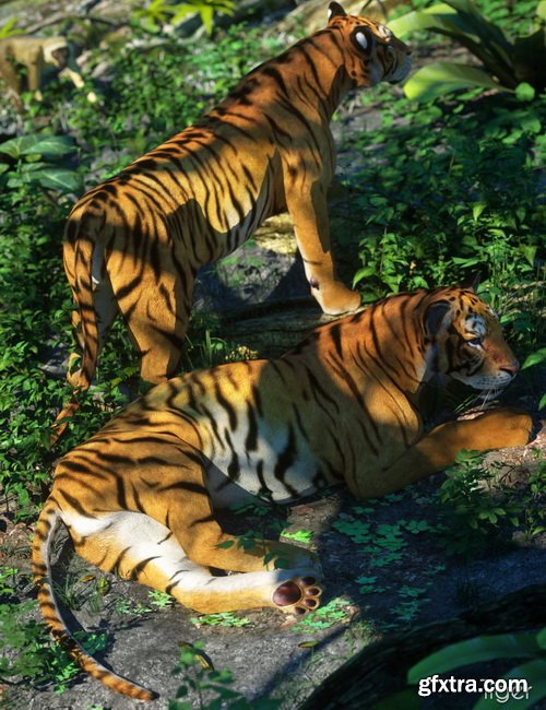 Daz3D - Daz Big Cat 2