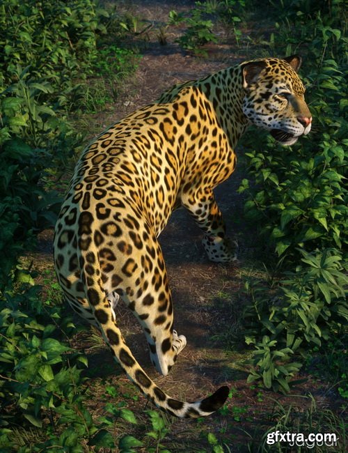 Daz3D - Daz Big Cat 2