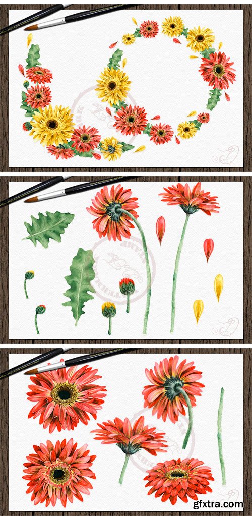 CM - Gerbera Watercolor Clip Art 2421786