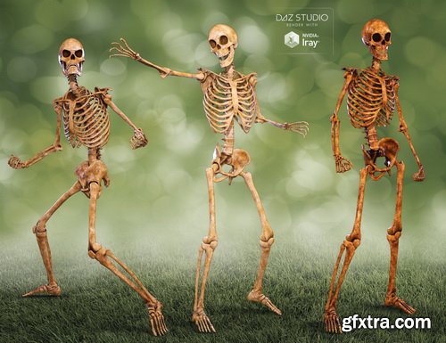 Daz3D - Midnight Skeleton G3 Bundle