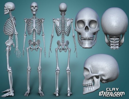 Daz3D - Midnight Skeleton G3 Bundle