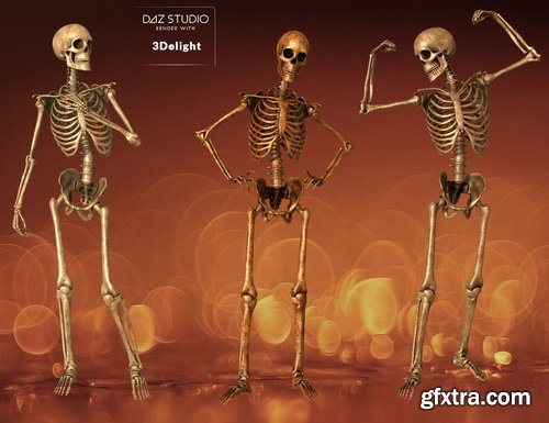 Daz3D - Midnight Skeleton G3 Bundle