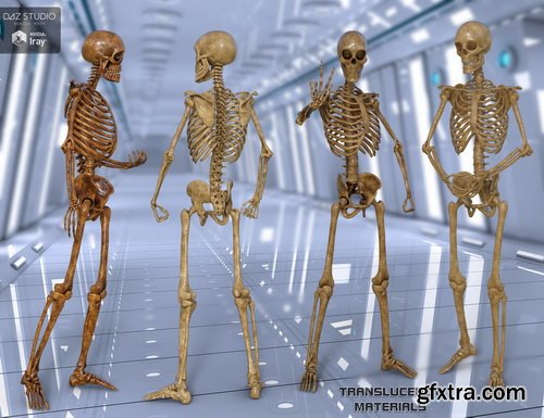 Daz3D - Midnight Skeleton G3 Bundle