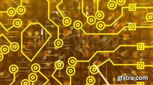 Gold Digital Circuits - Motion Graphics 79104