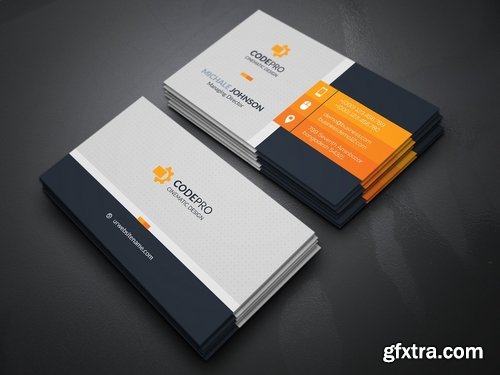 CM - Pro Business Card 2432608