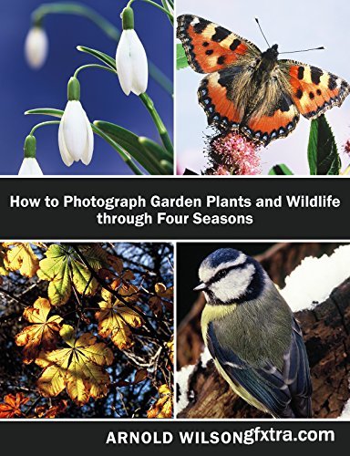 How To Photograph Garden Plants and Wildlife Through Four Seasons