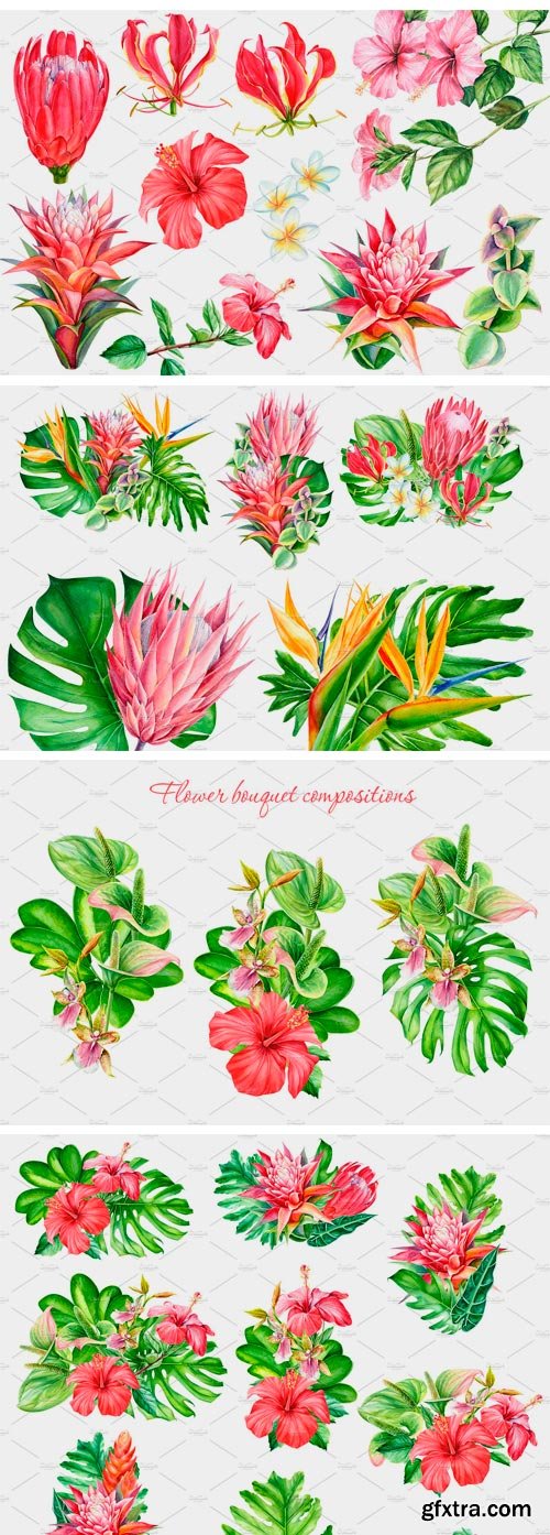 CM - Tropical Plants 2448551