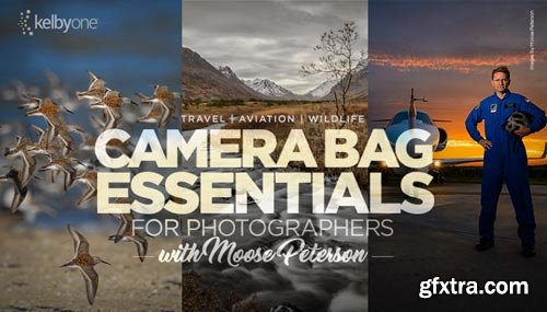 Camera Bag Essentials for Photographers