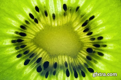 Kiwi berry plant macro pulp seed 25 HQ Jpeg