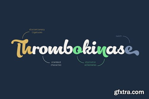 Lactosa Font Family