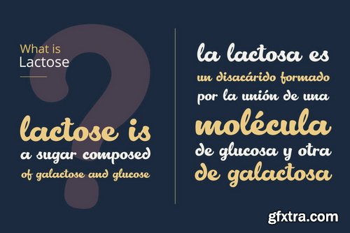 Lactosa Font Family