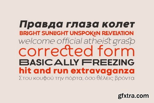 Codec Font Family