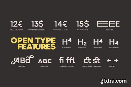 Codec Font Family