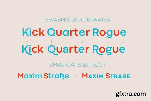 Codec Font Family