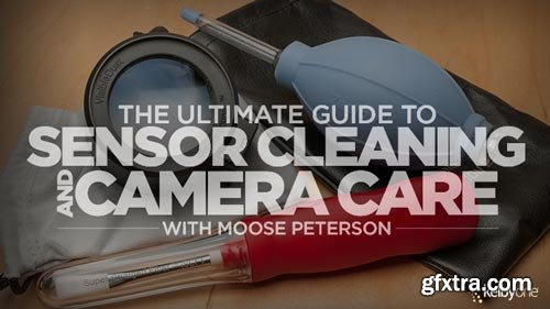 The Ultimate Guide to Sensor Cleaning and Camera Care